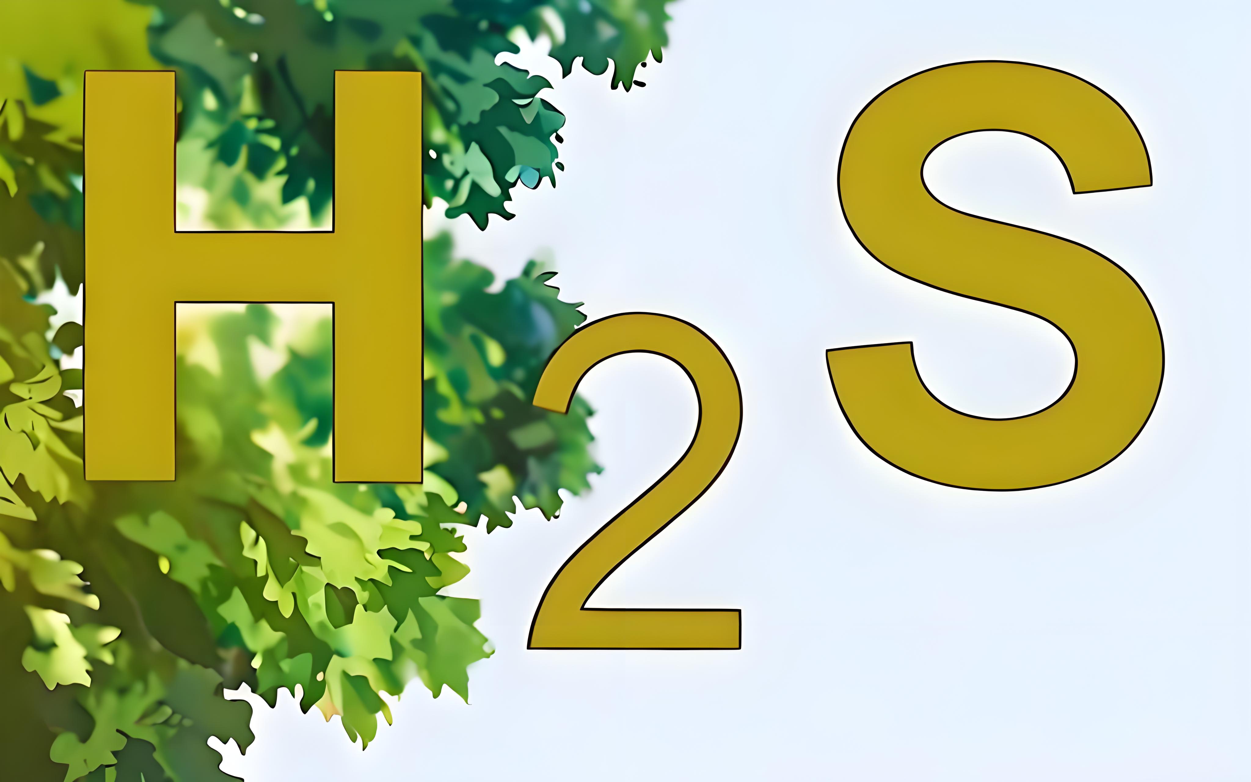 氣體檢測儀氫氣報警閾值和硫化氫的有什么區(qū)別？